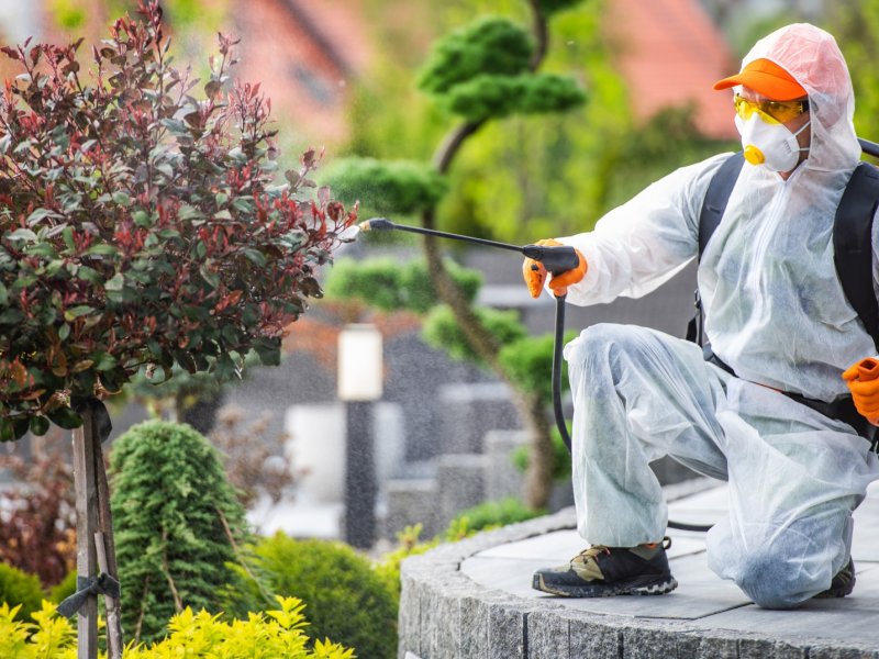 Dazkırı Haşere İlaçlama