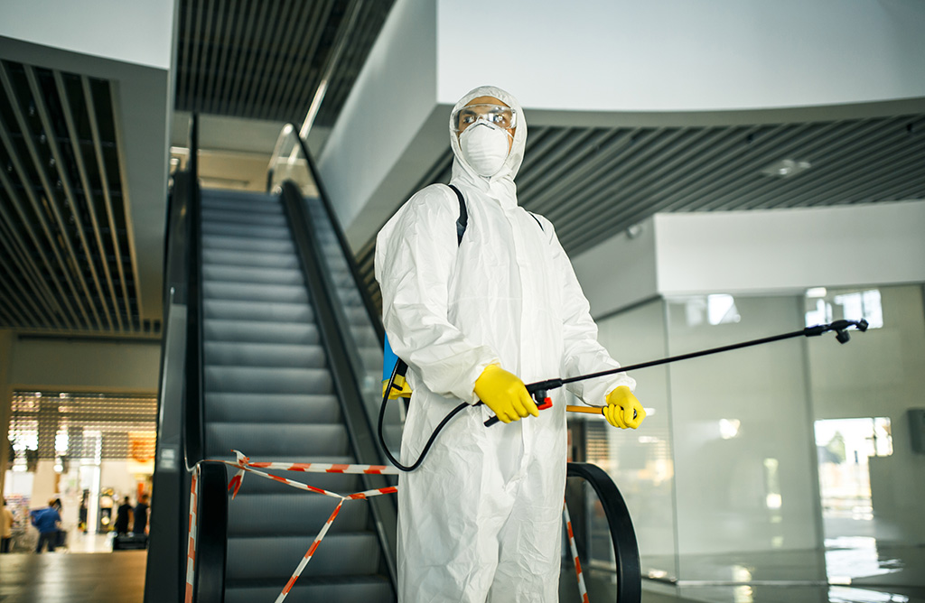 Dazkırı Haşere İlaçlama